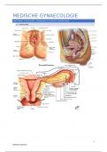 Gynaecologie; Medische aspecten