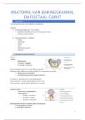 Anatomie & fysiologie van het baringskanaal