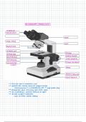 Microscope Parts Labeled (Diagram) 