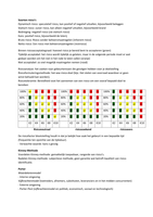 Risicomanagement - Samenvatting