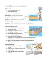 samenvatting hoofdstuk 8