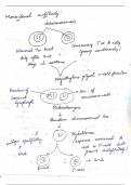 Monoclonal antibodies and its application 