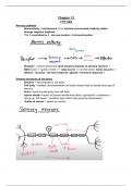 chapter 13 neuronal communication