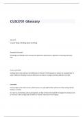 CUS3701 Glossary Exam Questions and Answers