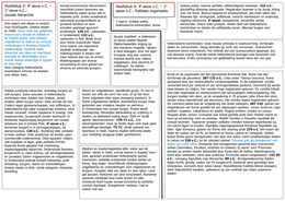 Schematische weergave H 5 Sociale hierarchie en Politieke organisatie De Oudheid