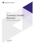 Summary Ground Handler Business