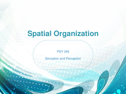 Spatial Organization