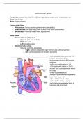 Cardiac Exam 3 Health Assessment