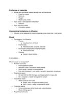 Blood system notes