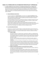 TEMA 10 LA FORMACIÓN DE LOS DERECHOS MUNICIPALES Y SEÑORIALES