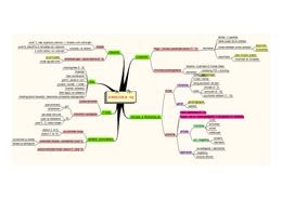 Mindmap Lagereschoolfase