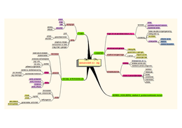 Mindmap Adolescentie