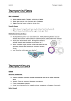 Module 3.3 Transport in Plants 