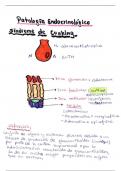 PATOLOGIA ENDOCRINOLOGICA: SINDROME DE CUSHING 