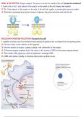 Insulin and its receptors 