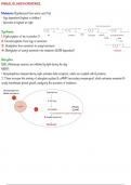 Pineal gland hormones 