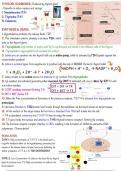 Thyroid Hormones