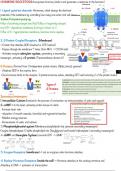 Hormone receptors 