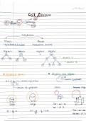 CELL CYCLE AND CELL DIVISION CLASS 11TH HANDWRITTEN NOTES FOR NEET