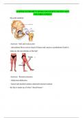 LOWER EXTREMITY ROM (ANATOMY) NOTES AND VOCABULARIES!!