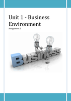 Unit 1 Business Environment - P5 P6 M2 M3 D2 *(GUARANTEED TO PASS)*