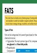 Fats Summary