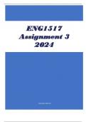 ENG1517 Assignment 3 2024