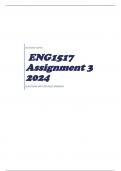 ENG1517 Assignment 3 2024