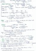 Resumen Esquemático Filosofía Evau Madrid 