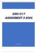 ENG1517 Assignment 3 2024