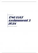 ENG1517 Assignment 3 2024