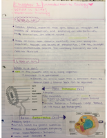 What Are the Criteria for a Living Organism?