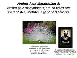 Amino Acid Metabolism