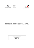 derecho jurisdiccional proceso civil