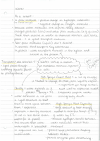 1.1 Water - BY1 Basic Biochemistry & Organisation - AS Level Biology