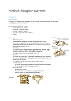 Overzicht theorie jaar 1 en 2 (IP8)