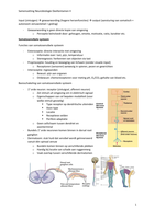 Samenvatting Neurobiologie Deeltentamen 2