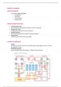 samenvatting supplychainmanagement hoofdstuk 4: productie