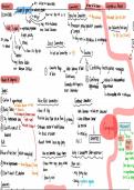 US Constitution Revision Notes