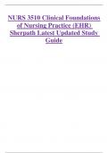 NURS 3510 Clinical Foundations  of Nursing Practice (EHR) Sherpath Latest Updated Study  Guide