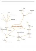 Gesundheit und Krankheit Mindmap