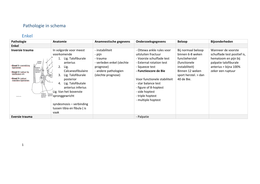 Leerpakket 13, Diagnostiek extremiteiten 