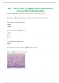 Bio 1104 Lab Exam 2 Complete Study Questions And Answers With Verified Solutions