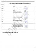 Fetal Pig Dissection Anatomy Part 1 (Upper Part) (DETAILED ANSWERS) 2024 - DISTINCTION