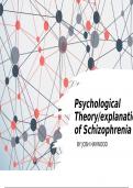 Non bio theory of schizophrenia 