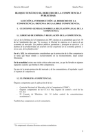 Tema 6 Derecho Mercantil