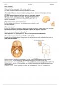 READING GUIDE: CHAPTER 7 (THE SKULL), HUMAN ANATOMY, BIOD170, UCI