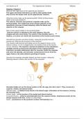 READING GUIDE: CHAPTER 8, HUMAN ANATOMY, BIOD170, UCI