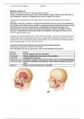 READING GUIDE: CHAPTER 11, HUMAN ANATOMY, BIOD170, UCI