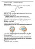 READING GUIDE: CHAPTER 13 OF BIOD170 HUMAN ANATOMY AT UCI (CENTRAL NERVOUS SYSTEM)